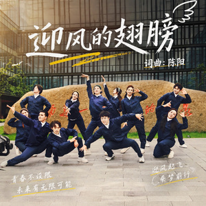 迎风的翅膀