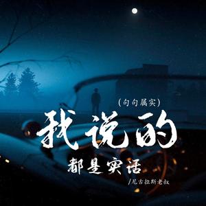 我说的都是实话 (句句属实)