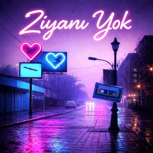 Ziyanı yok
