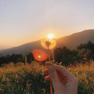 焦虑缓解的温柔音符