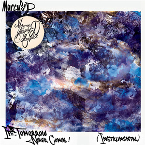 If Tomorrow Never Comes (Instrumental)