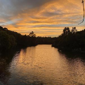 姜云升-患_刘同学（Rch cake remix）