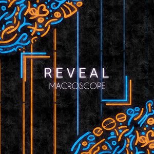 Reveal