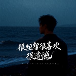 很短暂很喜欢很遗憾