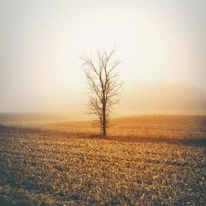 我不配做你男朋友