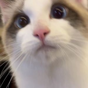 319（prod by 4Hunnid）