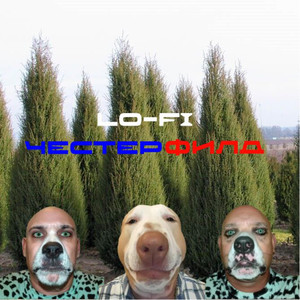 Каракатица или как яйц