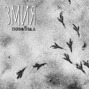 Позабыл (Radio Edit)