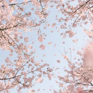 The Fisherman's Promise