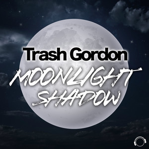 Moonlight Shadow (Original Mix)