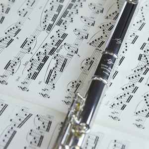 Serenade In D, "Spring"