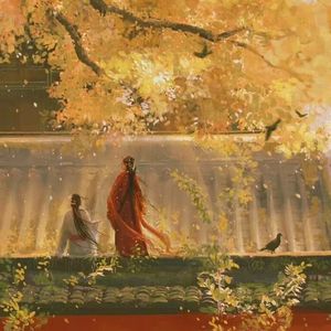 舍离去【甜御版】