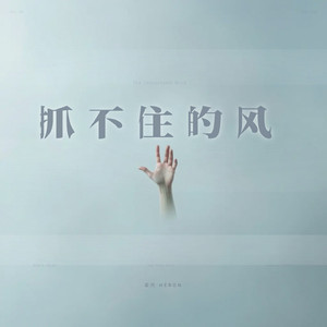 抓不住的风