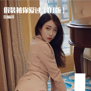 假装被你爱过（DJ版）