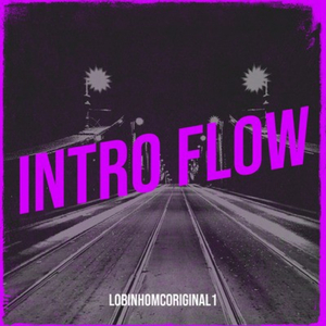 INTRO FLOW