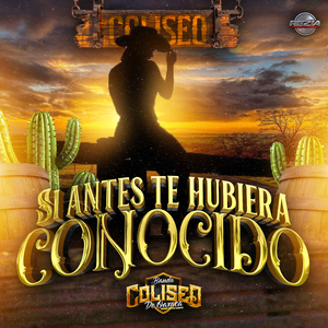 Si Antes Te Hubiera Conocido