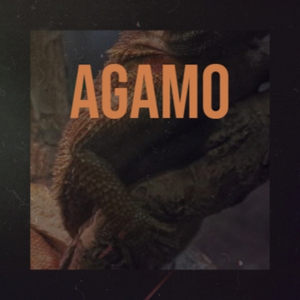 Agamo