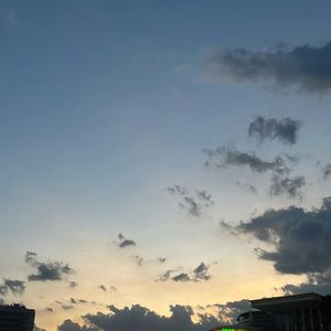 金色的海洋