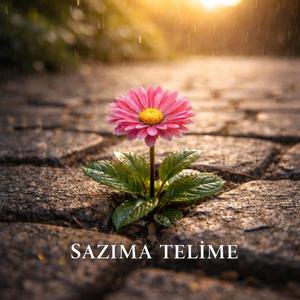 SAZIMA TELİME