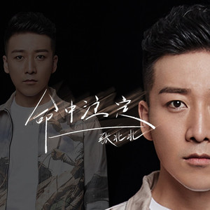 命中注定 (DJ九零版)