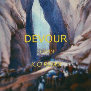 方新冉-Devour（K.O Remix）