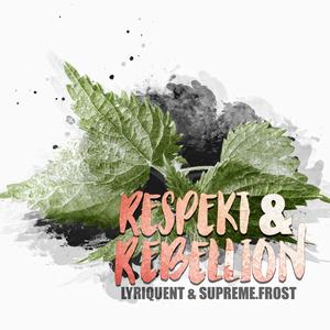 Schusswechsel (feat. Marekuja)