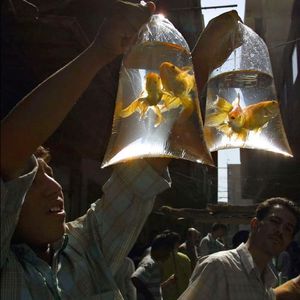 Free "我比不上你" SASIOVERLXRD Type Beat