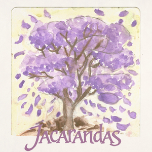 Jacarandas