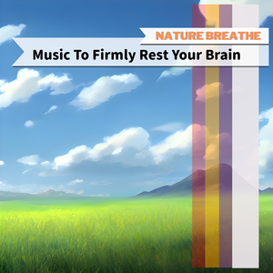 Harmony In The Mending