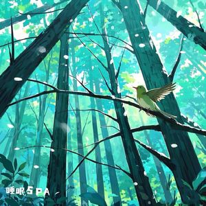 清晨森林鸟鸣声 轻音乐