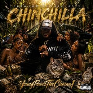 Chinchilla
