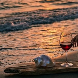 淪陷 Fall into the Dark