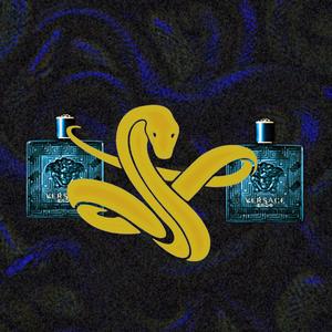 Versace Parfym
