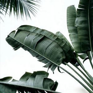 不再用力走向谁