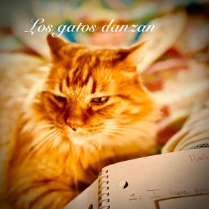 Semanario de un gatito consentido