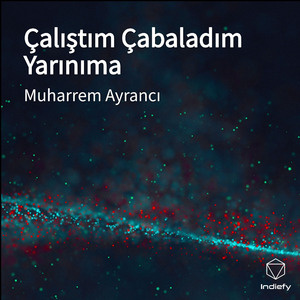 Çalıştım Çabaladım Yarınıma