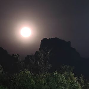 UD(prod.by Morrow x wustin)