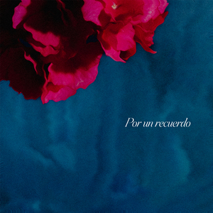 Por un recuerdo