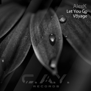 Voyage (Original Mix)