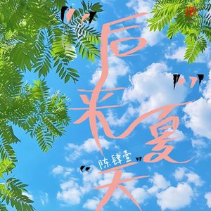 后来夏天X1.1