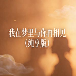 我在梦里与你再相见