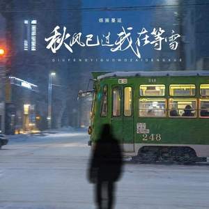 秋风已过我在等雪 (广场舞)