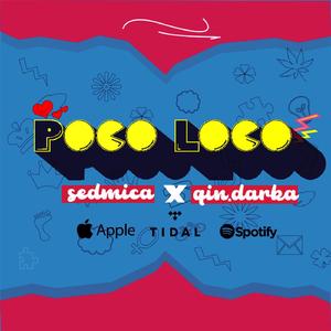 Poco Loco (feat. qin.darka)