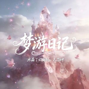 梦游日记-水晶的困扰