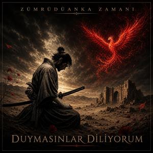 Duymasınlar Diliyorum