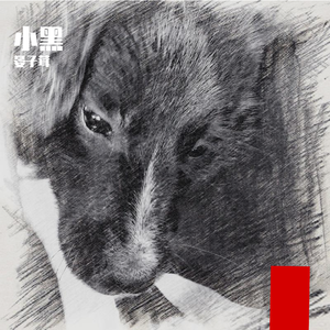 小黑（pord by BLACKFAT洪汝超 ）