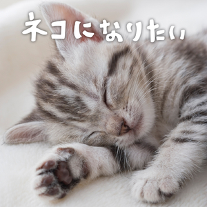 そよ風に吹かれて