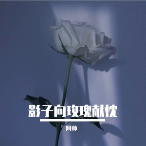 影子向玫瑰献忱