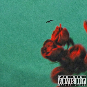 When I say girl?ft.@安徽纯爱王