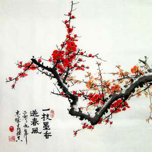 天光（Cover BMK）